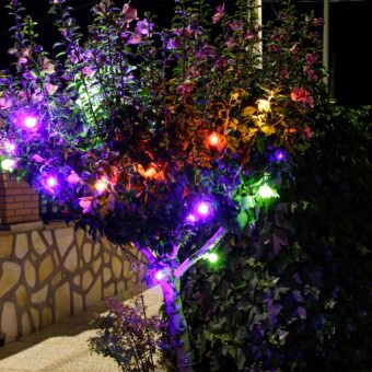 Ambiente guirnalda solar BOREALIS COLOR L encendida sobre árbol